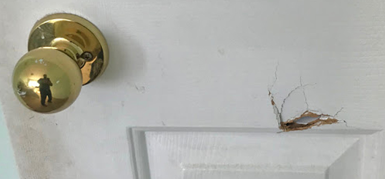 interior door hole repair Delhi