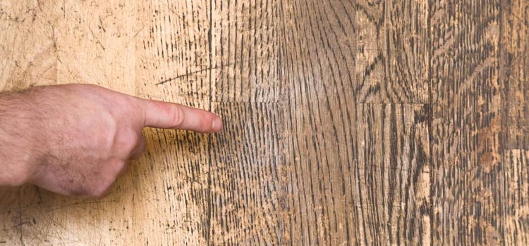 Wood Door Scratch Repair in Delhi